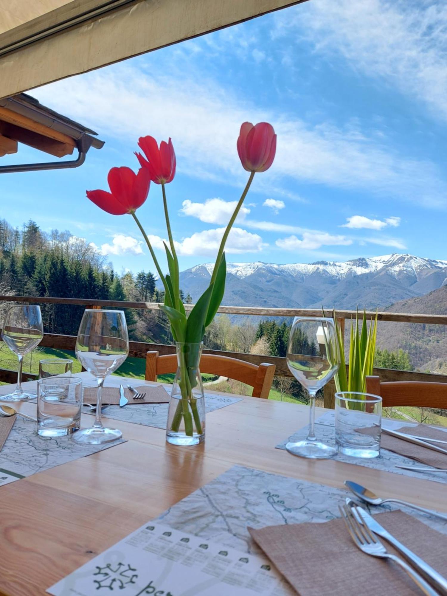 Locanda Il Campo Della Quercia San Damiano Macra Екстер'єр фото
